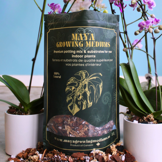 Orchid blend- Potting media: Small (3 L)