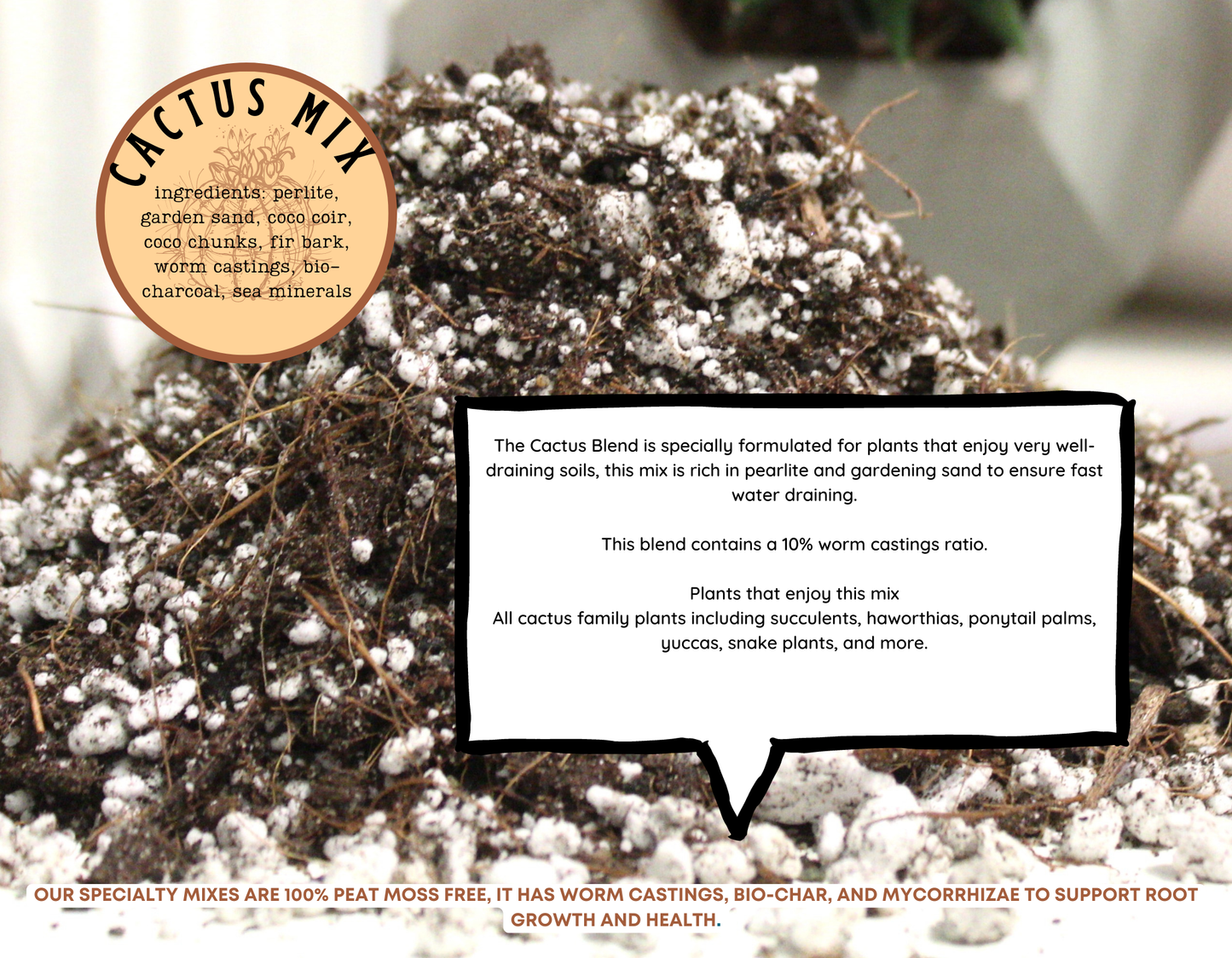 Cactus blend-Potting soil for indoor plants: Small (3 L)