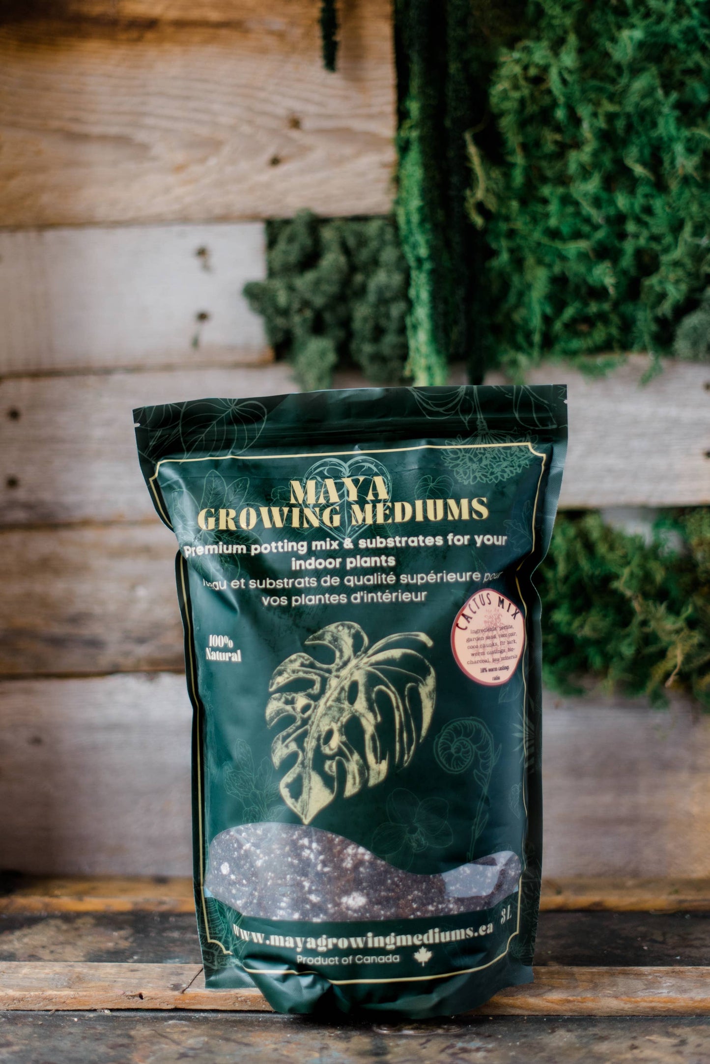 Cactus blend-Potting soil for indoor plants: Small (3 L)