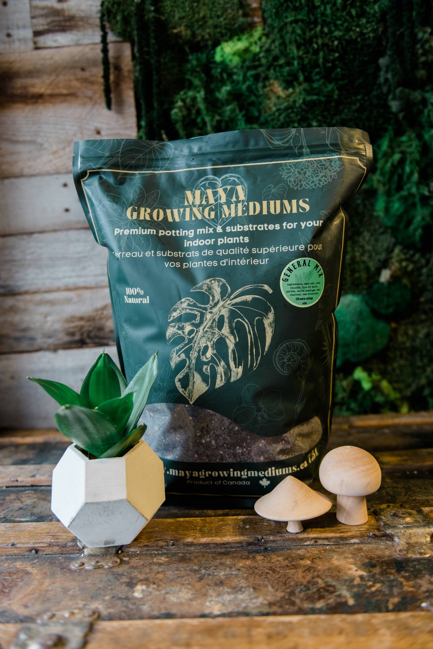 General blend-Potting soil for indoor plants: Small (3 L)