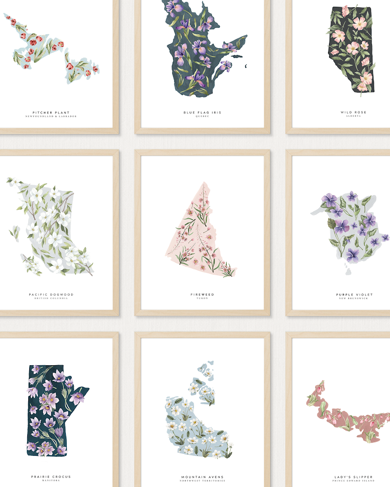 British Columbia Dogwood Art Print