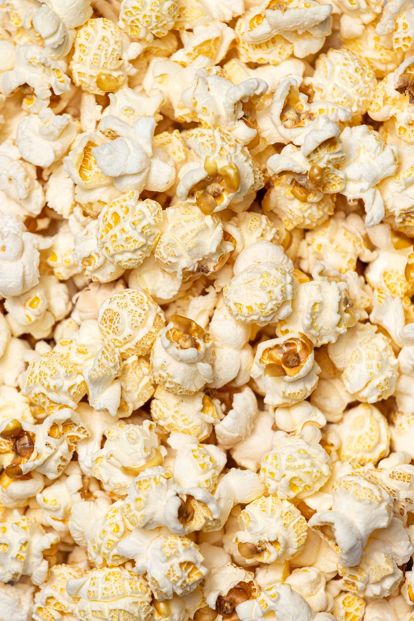 Simply Salted : Regular