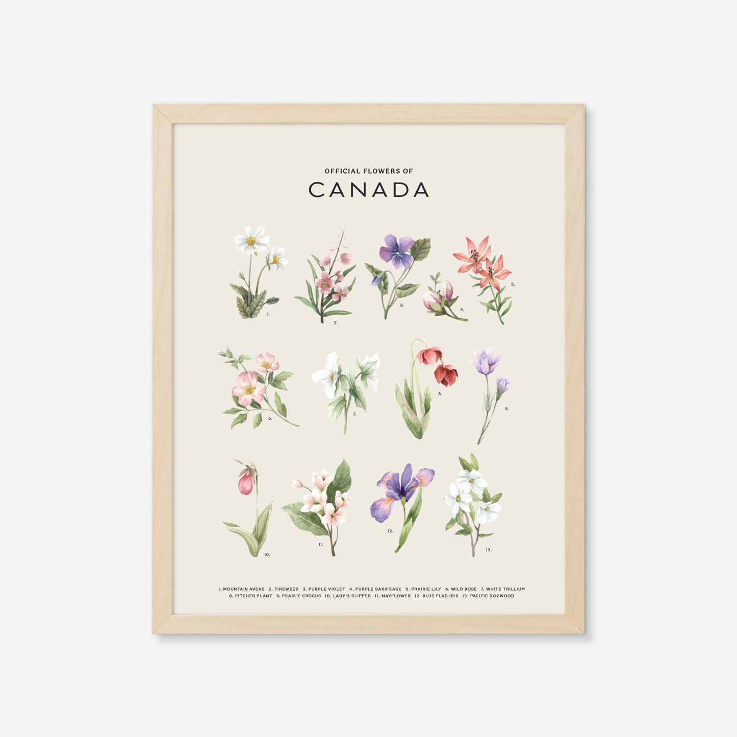 Official Flowers of Canada Art Print: Dark