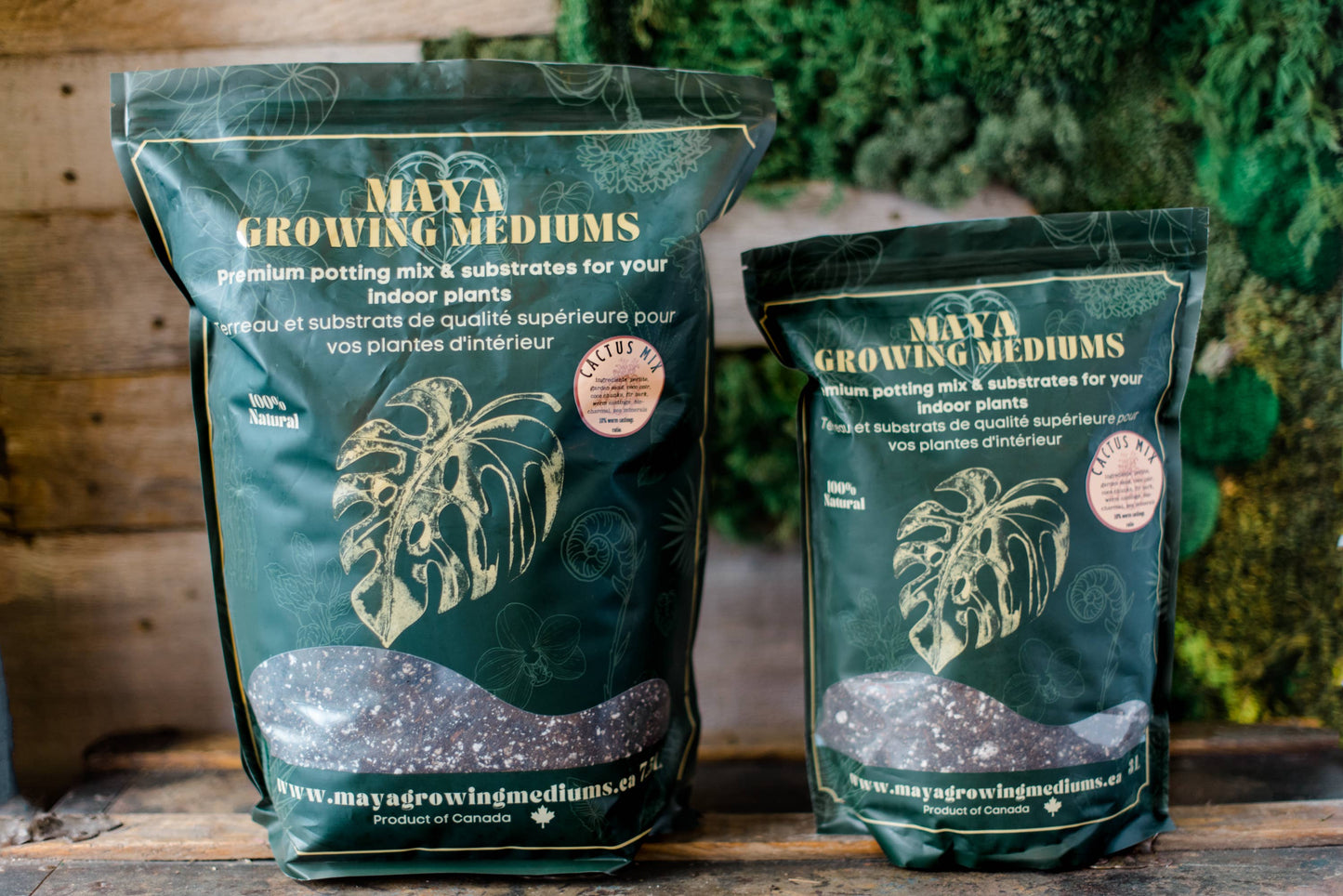 Cactus blend-Potting soil for indoor plants: Small (3 L)