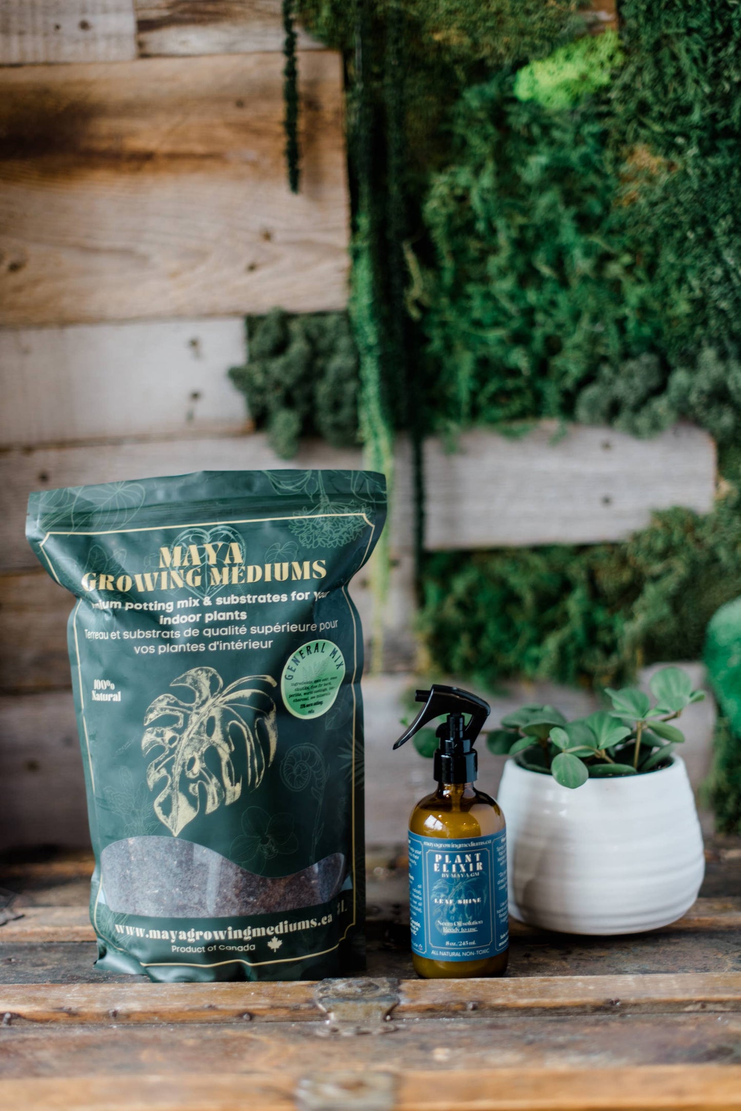General blend-Potting soil for indoor plants: Small (3 L)