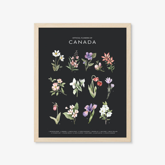 Official Flowers of Canada Art Print: Dark