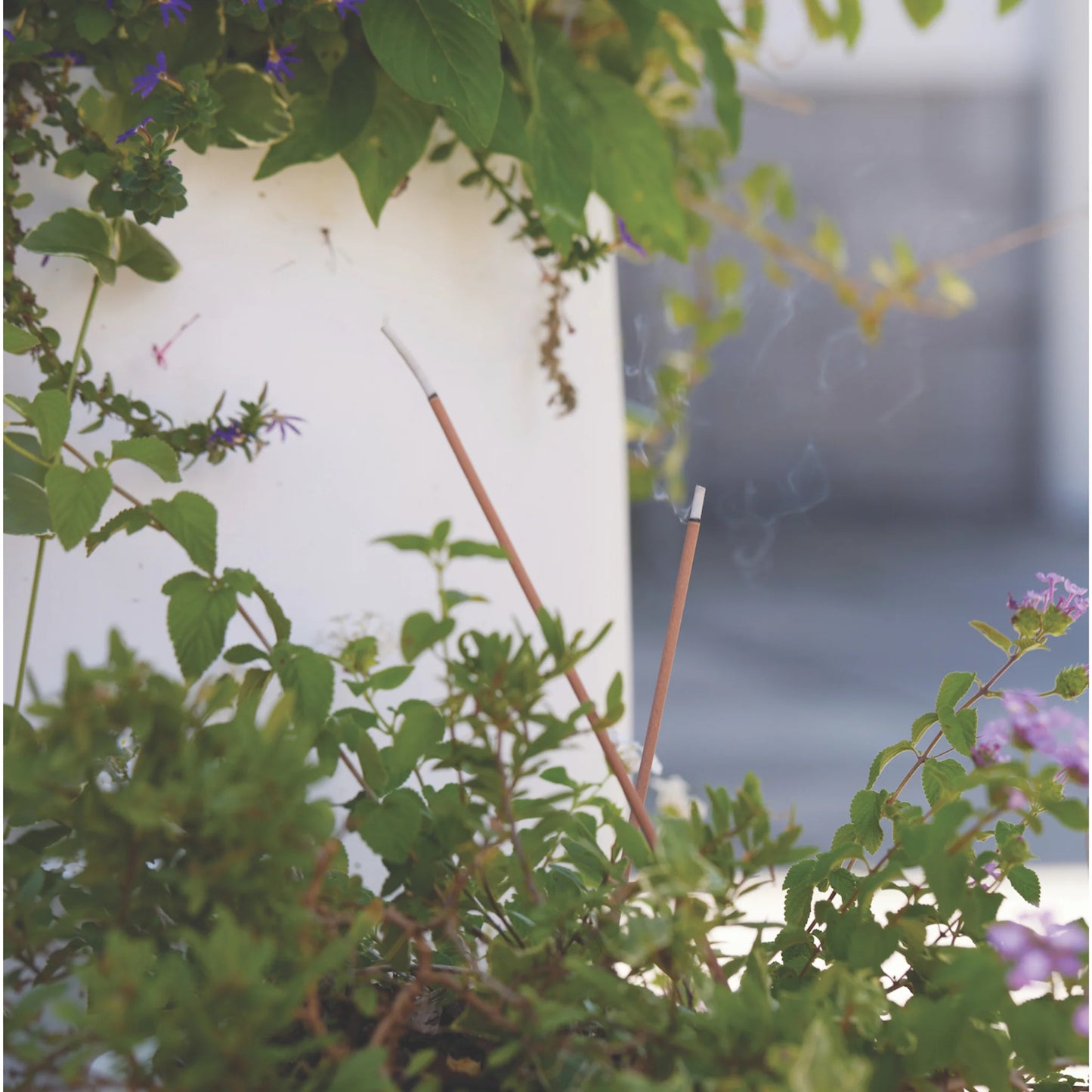 Garden Incense and Holder