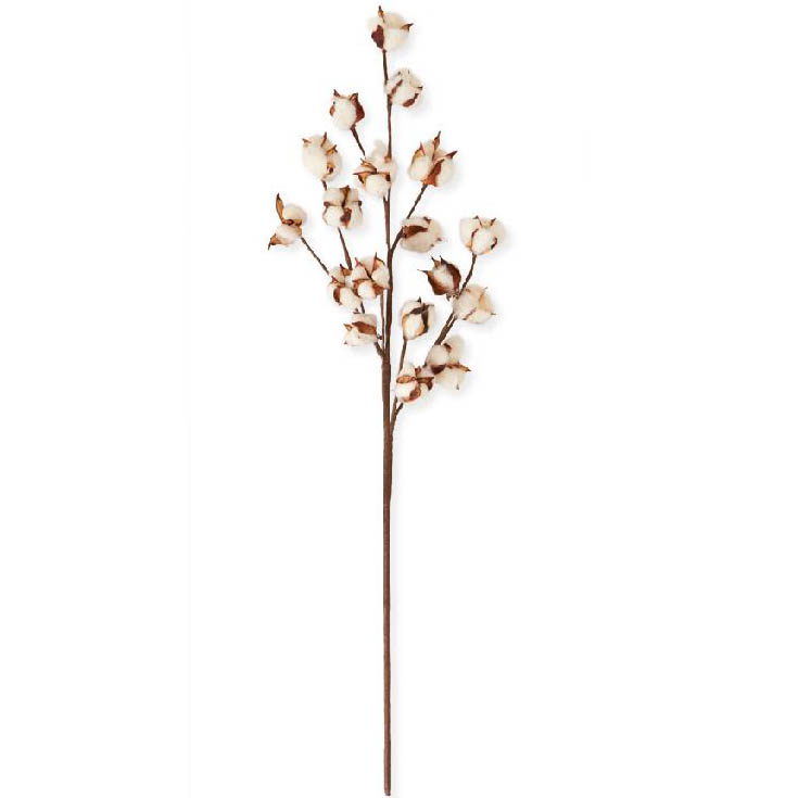 30" Large Cotton Pod Stem