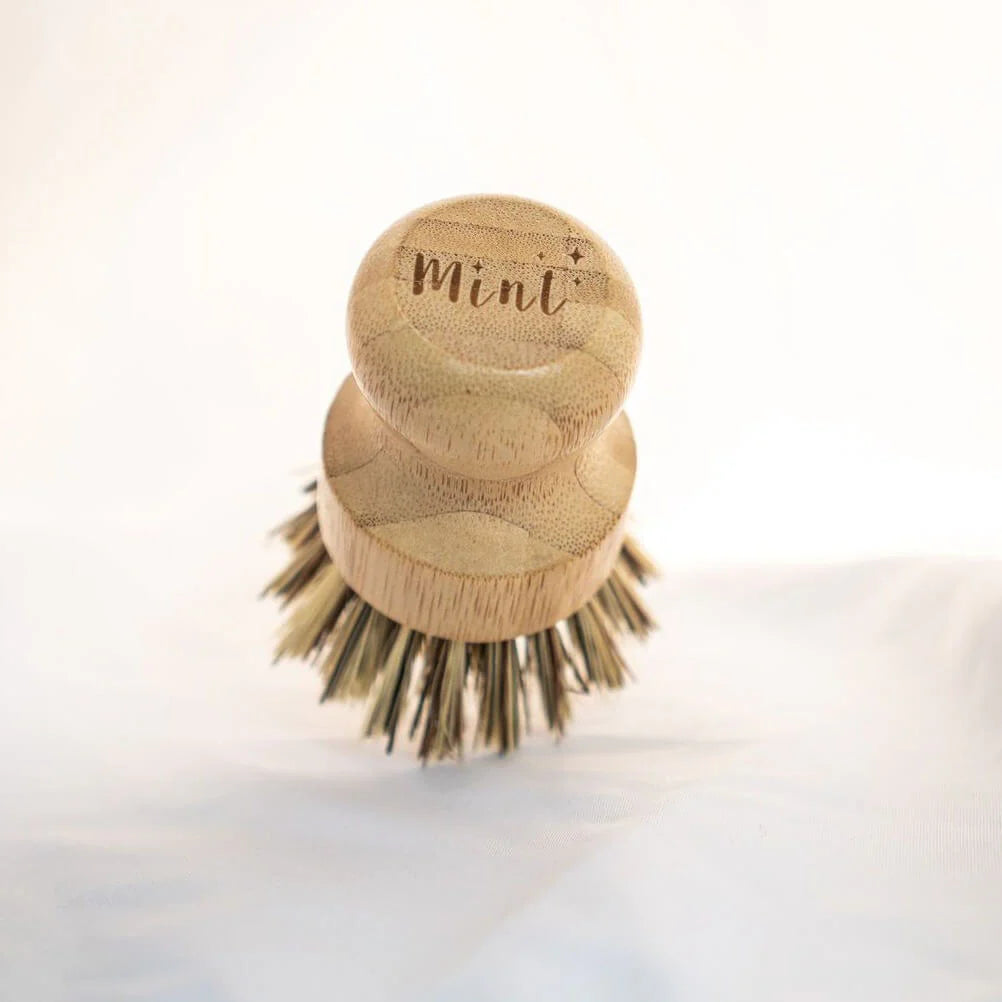 Mint Dish Brush