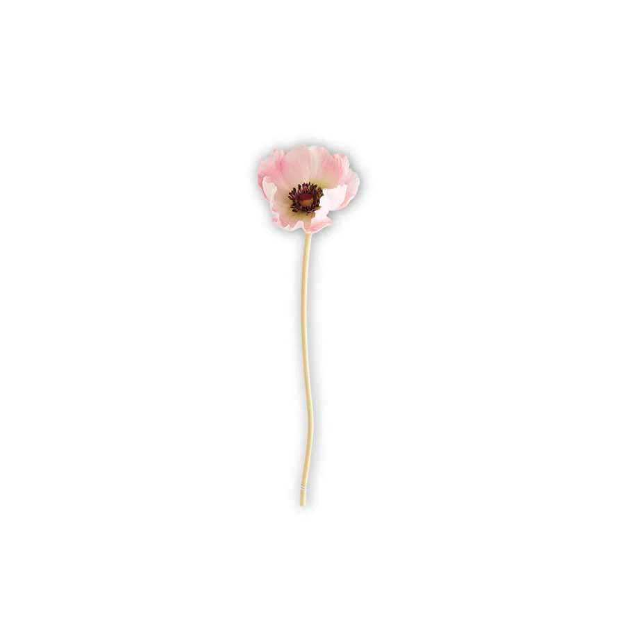 Pink Poppy Stem