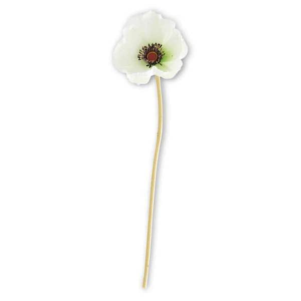 White Poppy Stem