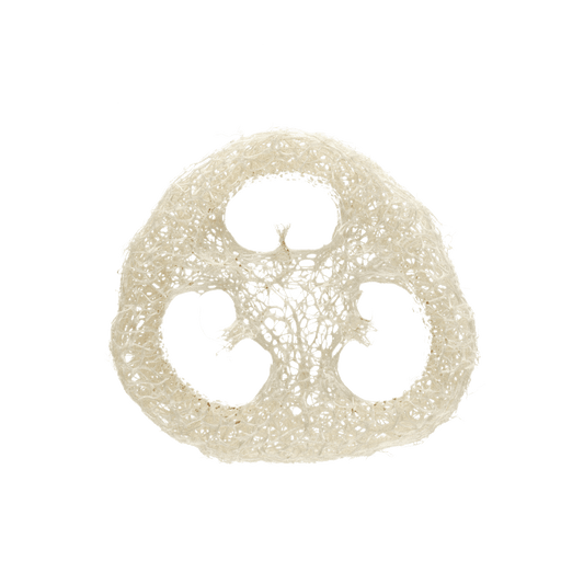 Gourd Exfoliating Loofah (plastic-free)