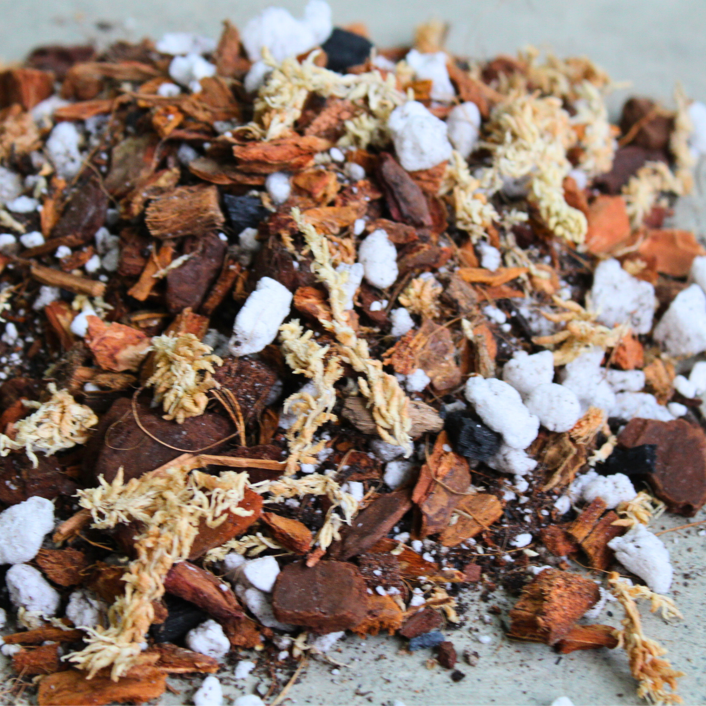 Orchid blend- Potting media: Small (3 L)