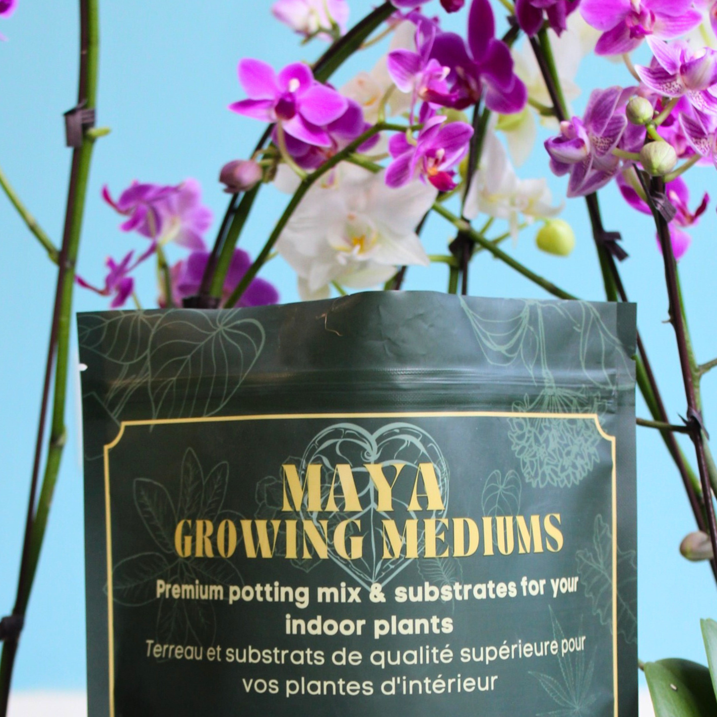 Orchid blend- Potting media: Small (3 L)