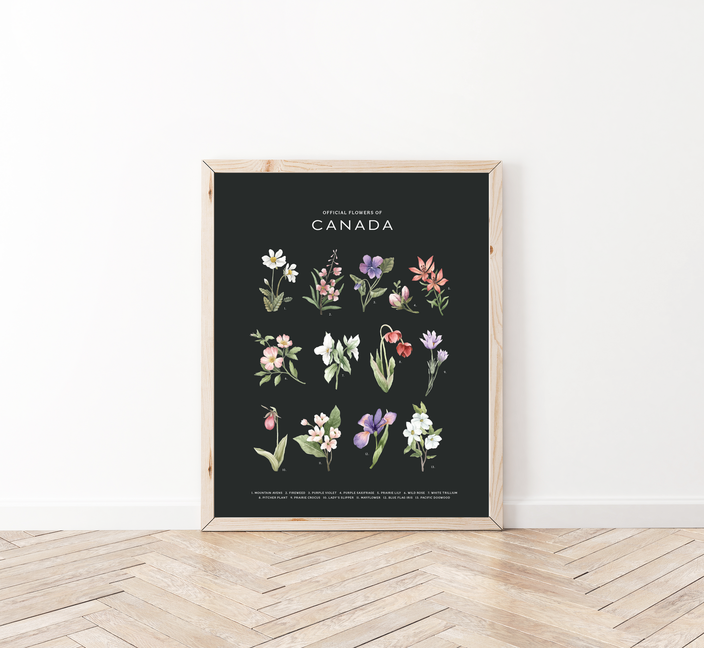 Official Flowers of Canada Art Print: Dark