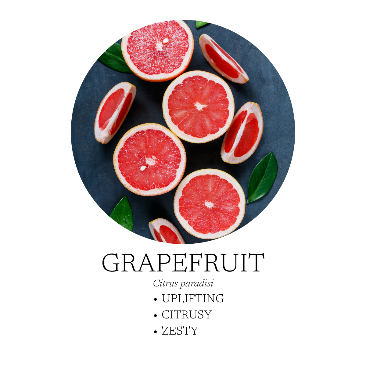 Pink Grapefruit Essential Oil 10 mL (.3 fl oz)