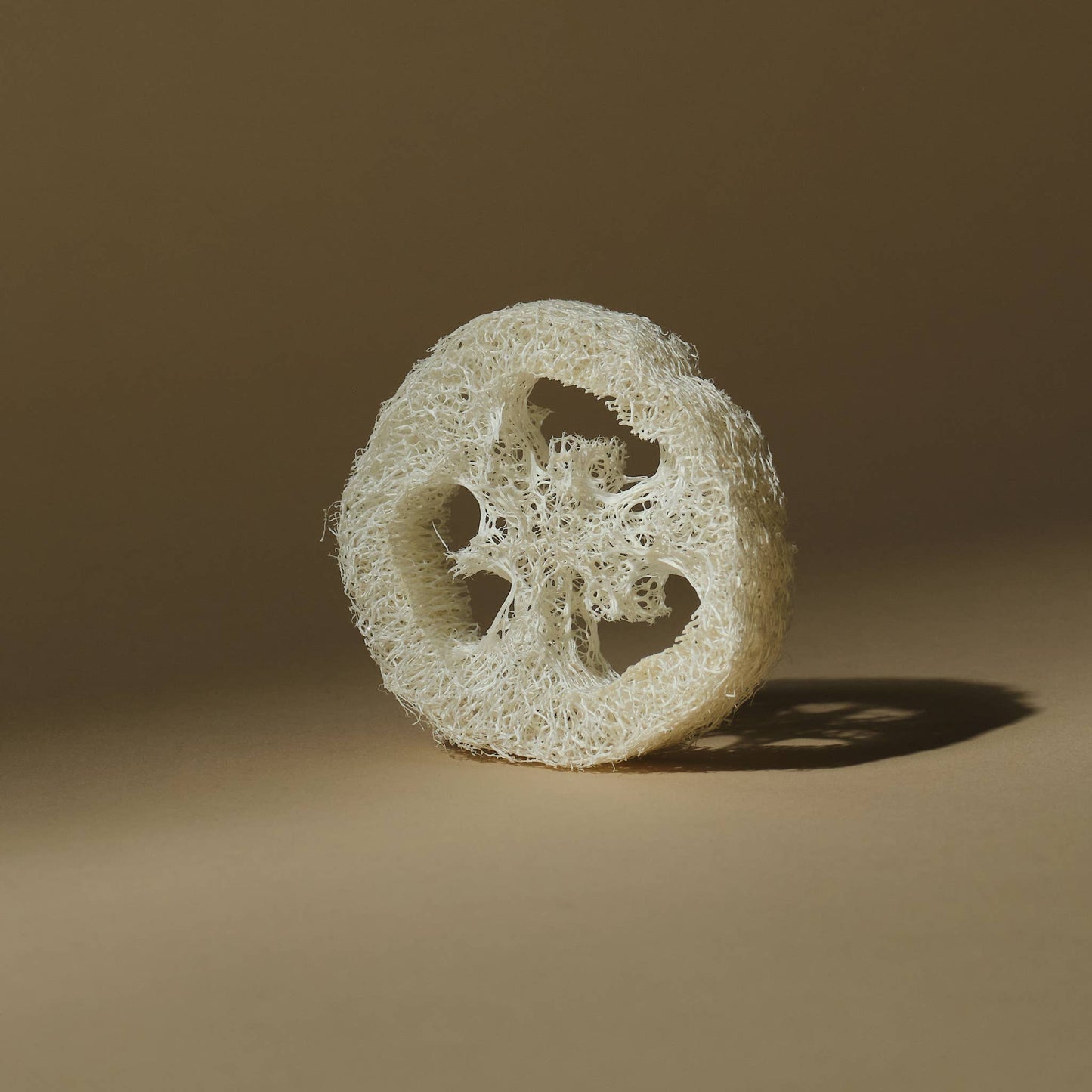 Gourd Exfoliating Loofah (plastic-free)