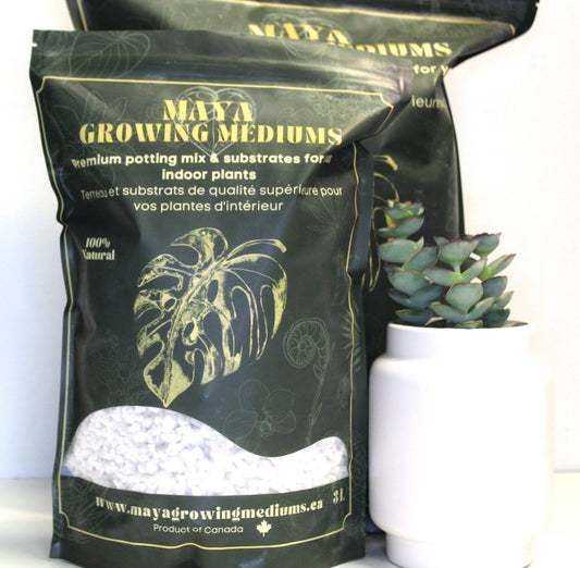 Coarse Perlite: Small (3L)