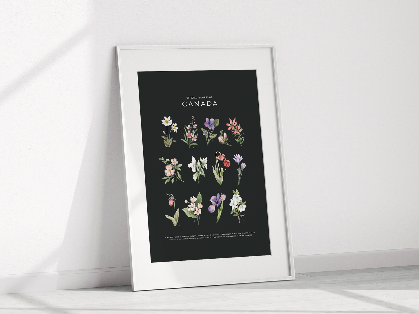 Official Flowers of Canada Art Print: Dark