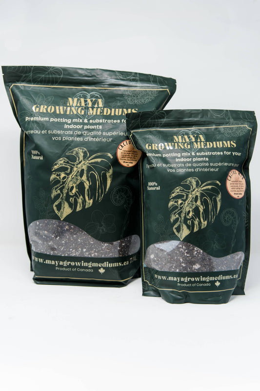 Cactus blend-Potting soil for indoor plants: Small (3 L)