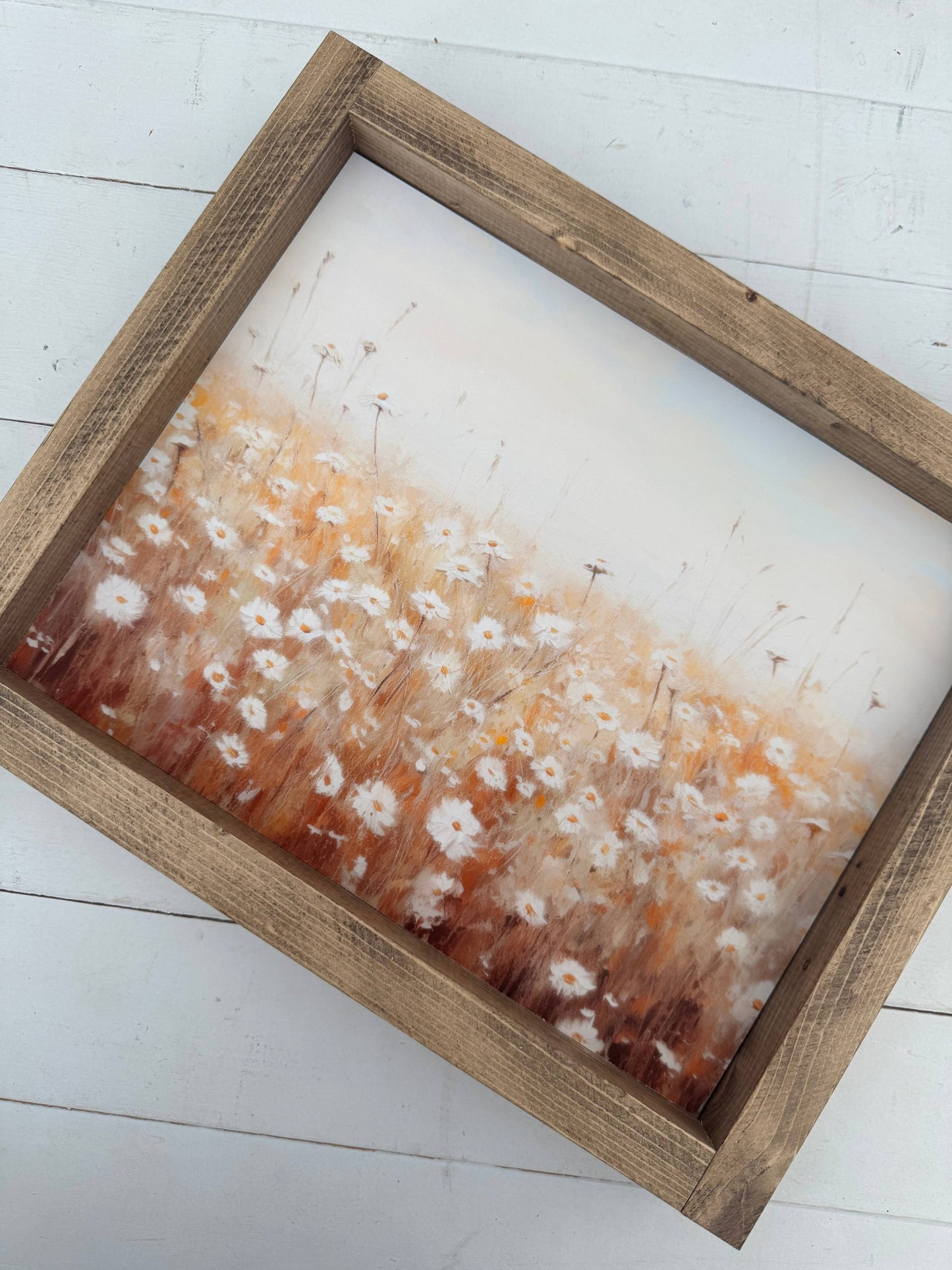 Daisy Field 1: Dark Walnut / 17x13