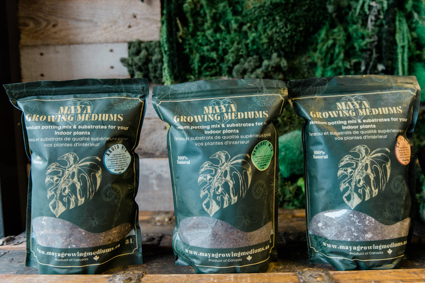 General blend-Potting soil for indoor plants: Small (3 L)
