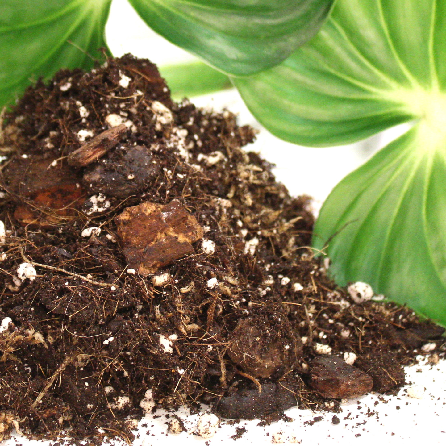 Aroid blend- Potting soil for indoor plants: Small (3 L)