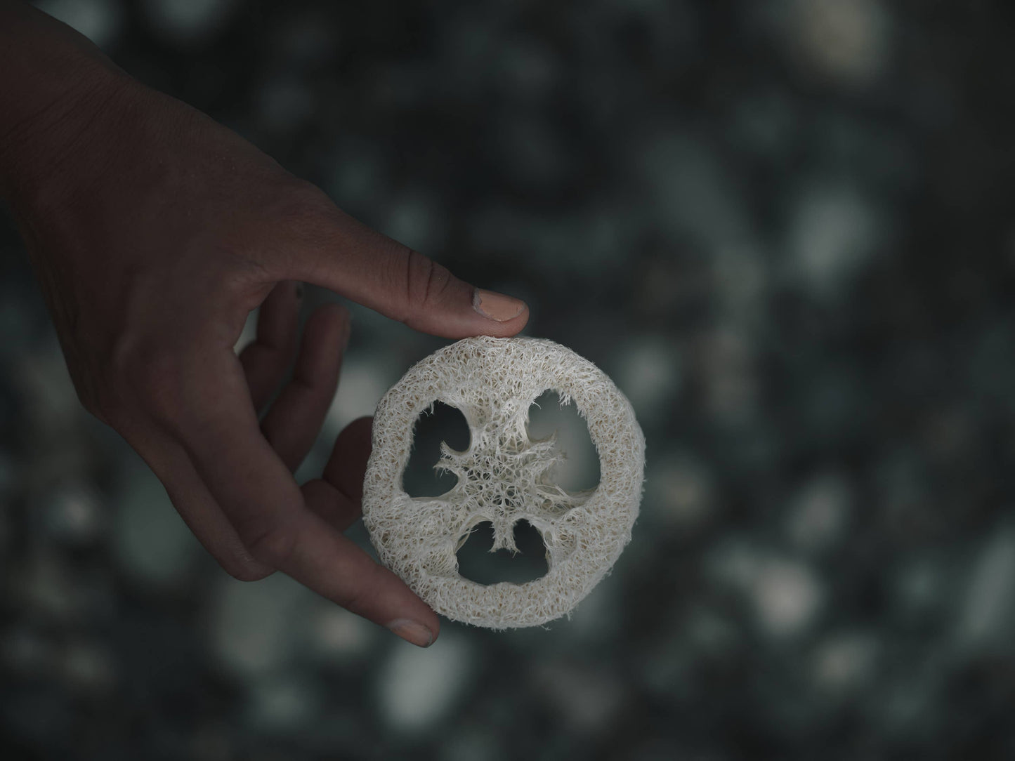 Gourd Exfoliating Loofah (plastic-free)