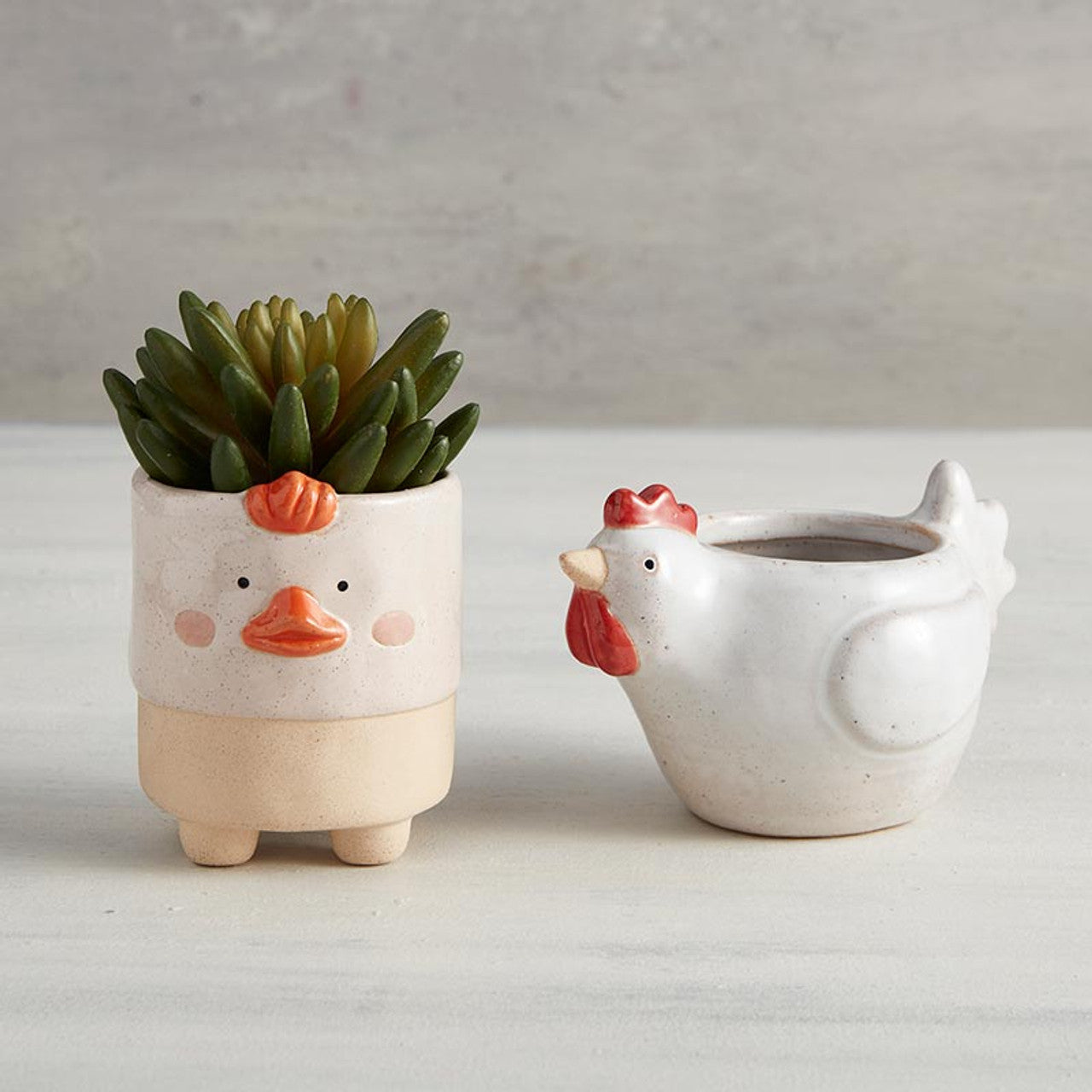 Small Chicken Planter