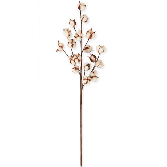 30" Large Cotton Pod Stem