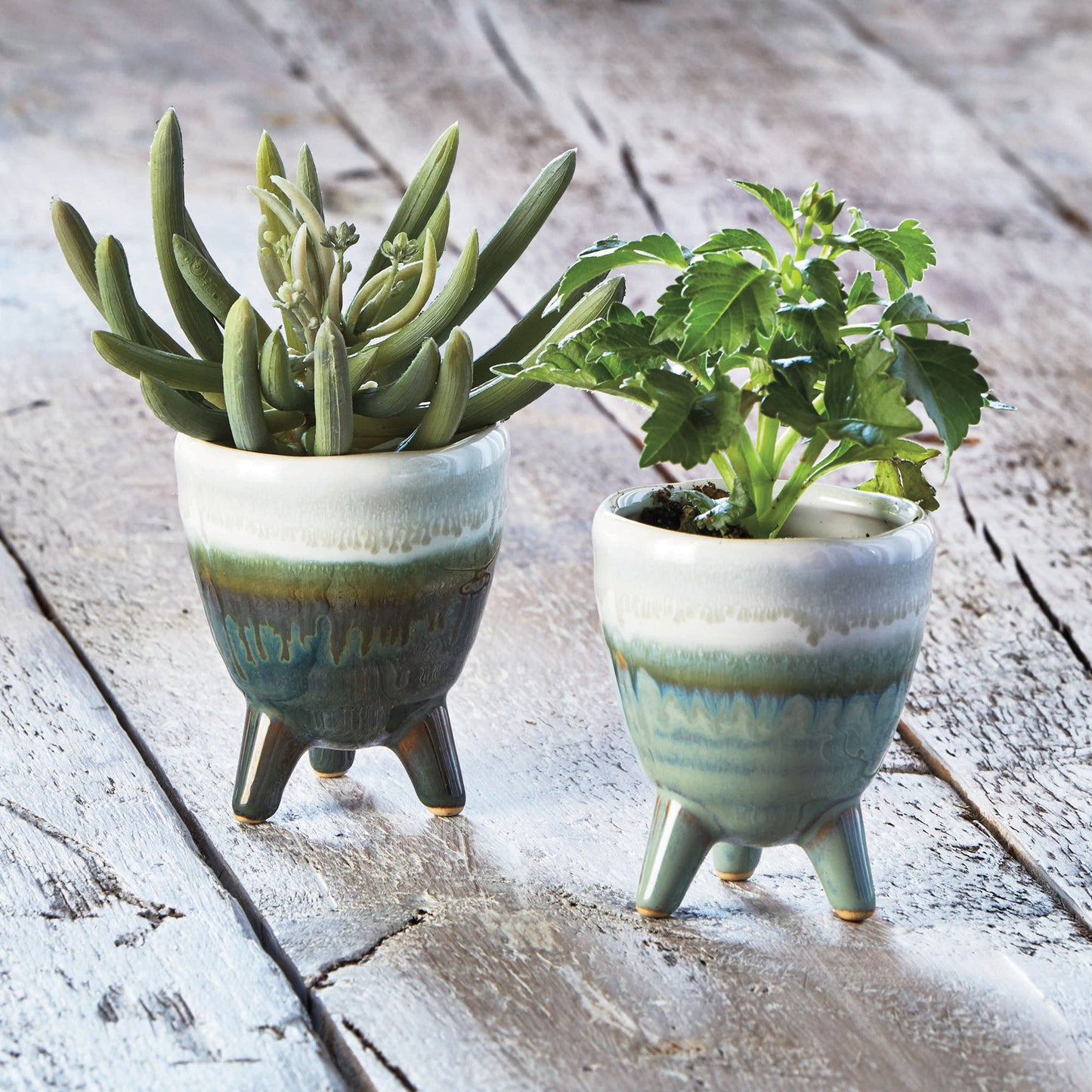 Sprout Planter