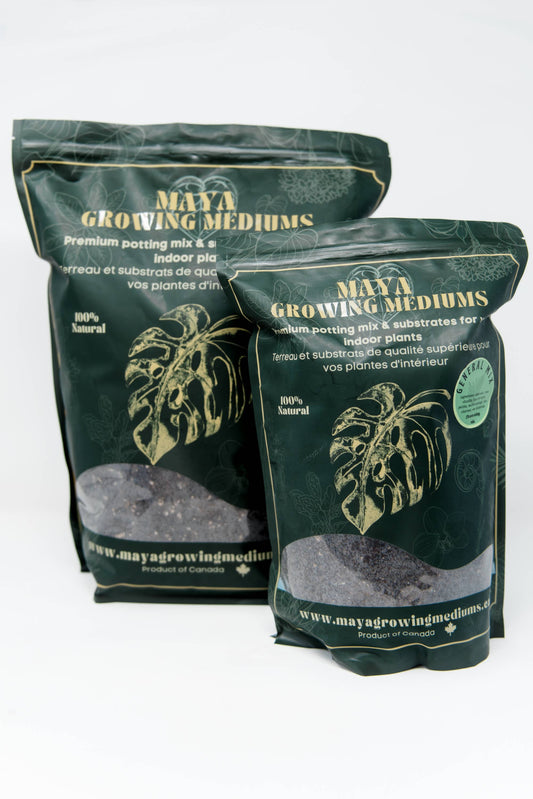General blend-Potting soil for indoor plants: Small (3 L)