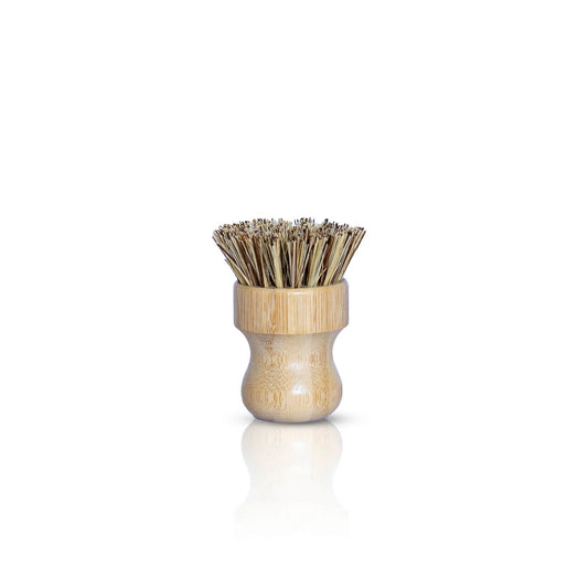 Mint Dish Brush