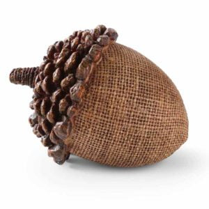 Acorn 2.5"