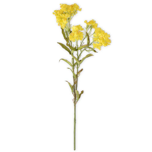Yellow Coreopsis Spray